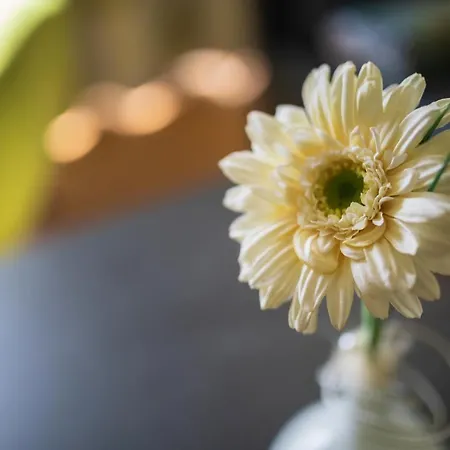 Gillenfelder Hof 3* Gillenfeld