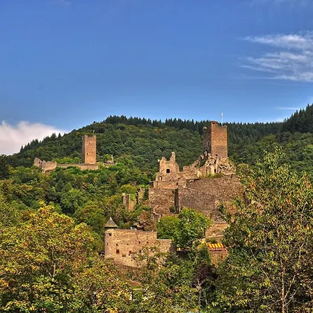 فندق Gillenfelder Hof 3*