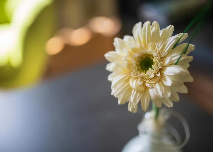 Gillenfelder Hof 3* Gillenfeld