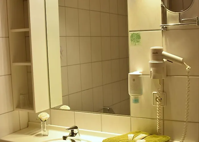 فندق Gillenfelder Hof