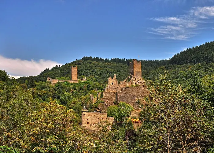 فندق Gillenfelder Hof 3*